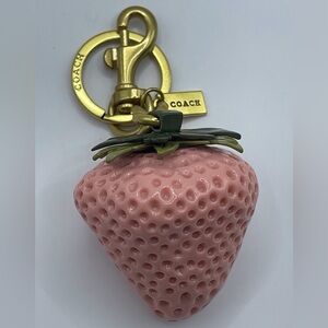 Coach Large Pink Strawberry